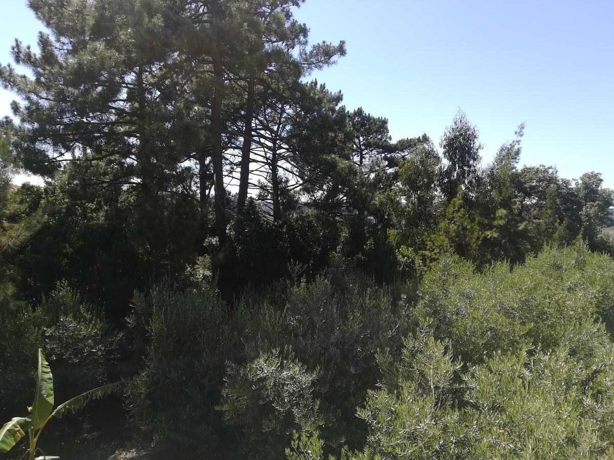 Quinta Vale Real Villa Alcobaça Esterno foto