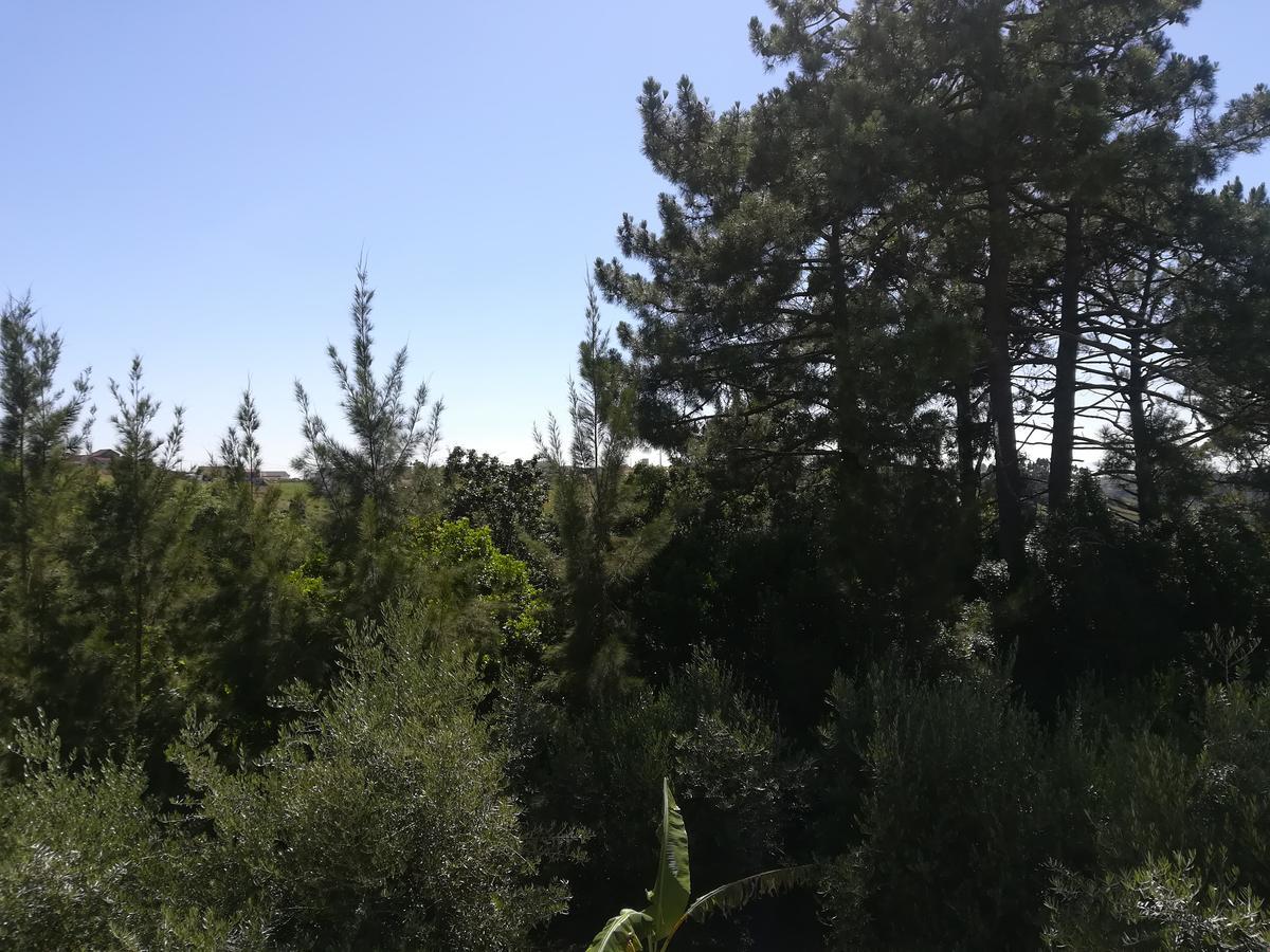 Quinta Vale Real Villa Alcobaça Esterno foto