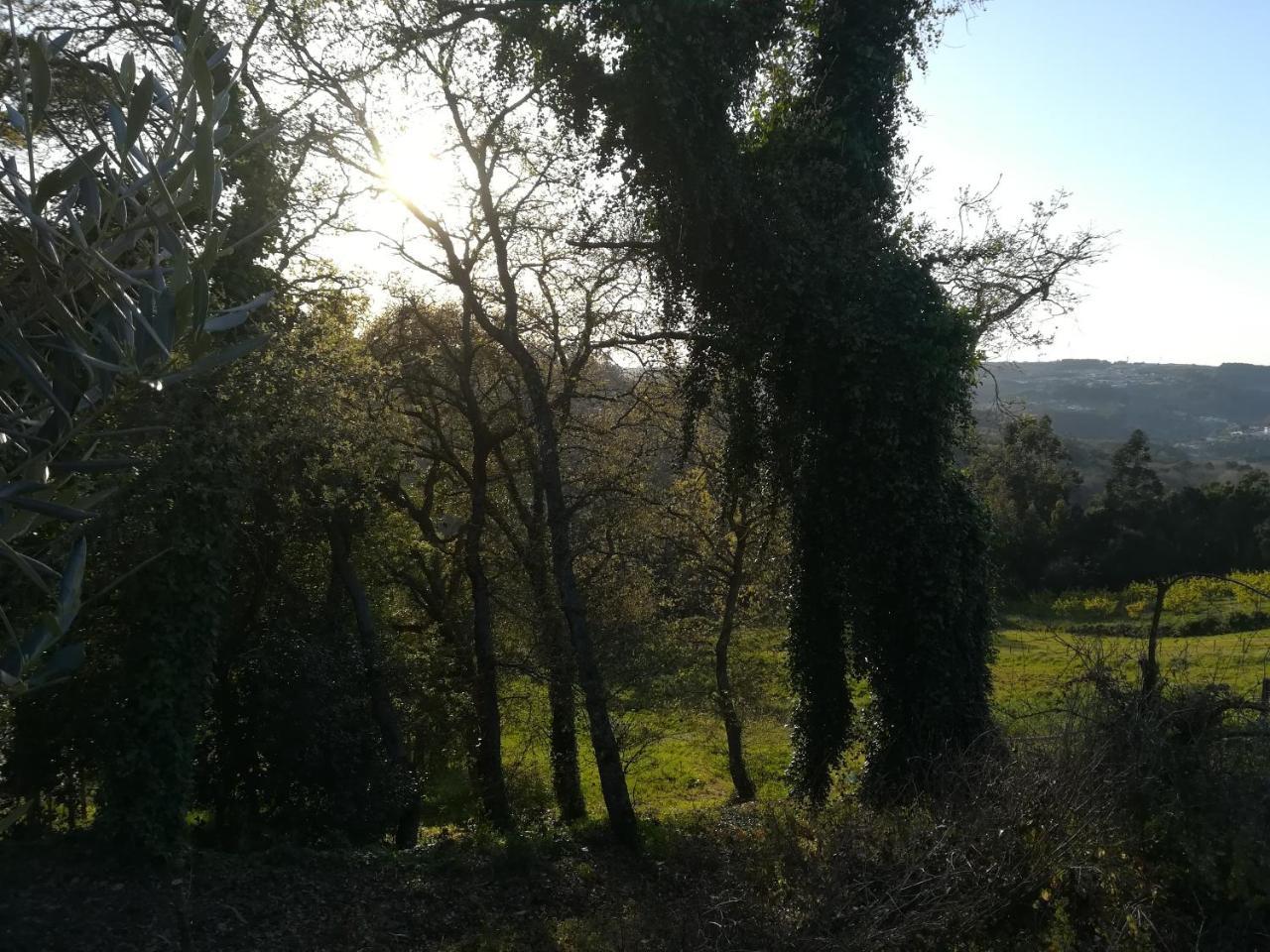 Quinta Vale Real Villa Alcobaça Esterno foto